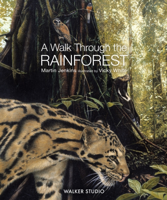 Walk Through the Rainforest (Jenkins Martin)(Paperback / softback)
