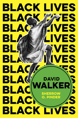 David Walker: The Politics of Racial Egalitarianism (Pinder Sherrow O.)(Paperback)