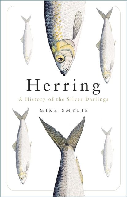 Herring - A History of the Silver Darlings (Smylie Mike)(Paperback / softback)