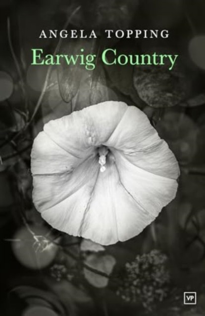 Earwig Country (Topping Angela)(Paperback / softback)