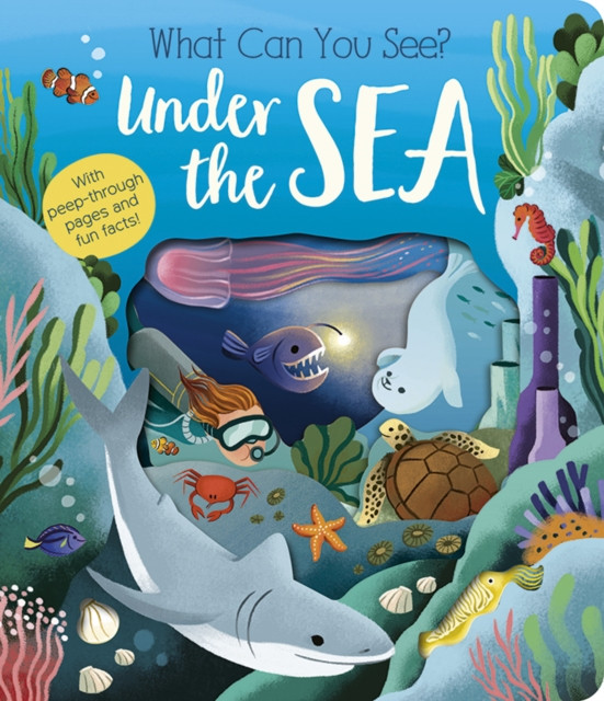 What Can You See? Under the Sea (Littleboy Molly)(Board book)