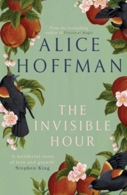 Invisible Hour (Hoffman Alice)(Paperback / softback)