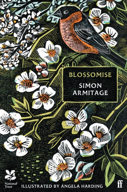 Blossomise (Armitage Simon)(Pevná vazba)