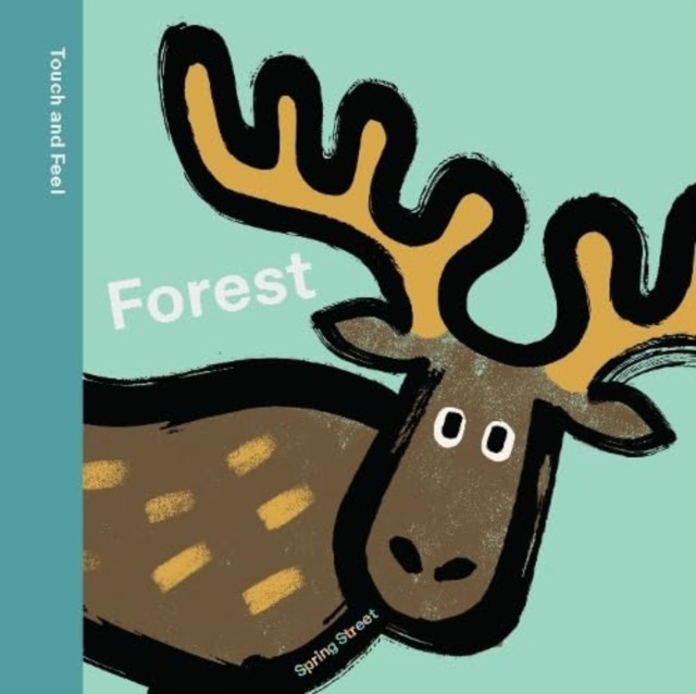 Spring Street Touch and Feel: Forest (Boxer Books)(Board book)