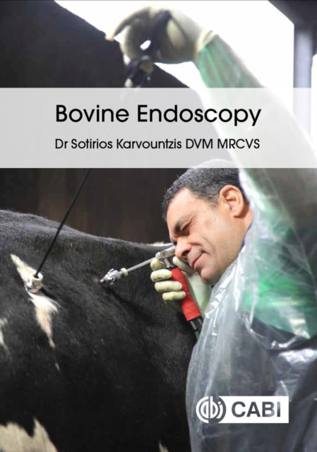 Bovine Endoscopy (Karvountzis Sotirios)(Paperback)