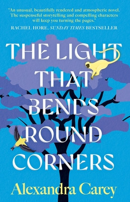 The Light That Bends Round Corners (Carey Alexandra)(Paperback)