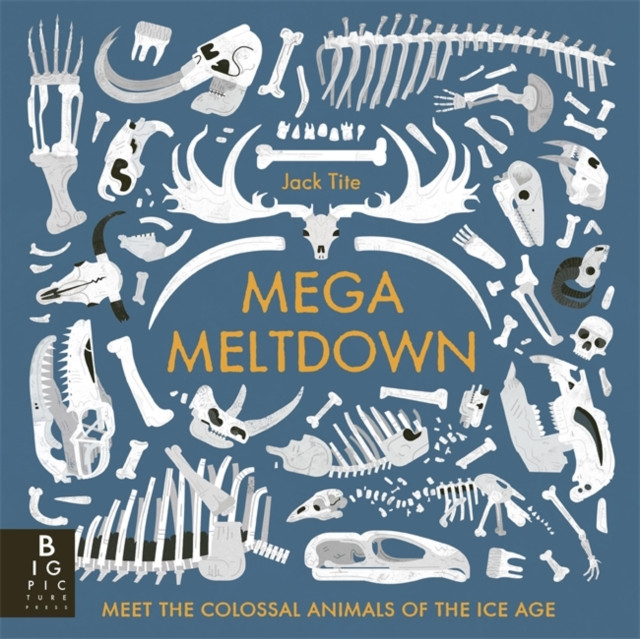 Mega Meltdown (Tite Jack)(Paperback / softback)