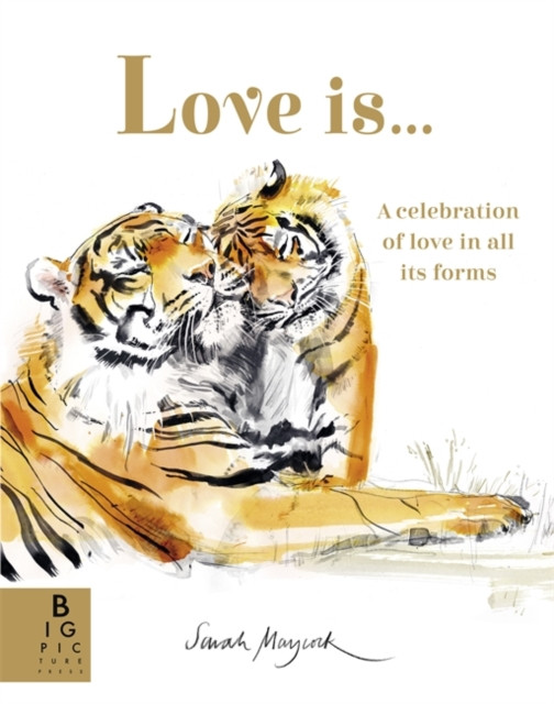 Love Is... - A Celebration of Love in All Its Forms (Murray Lily)(Paperback / softback)