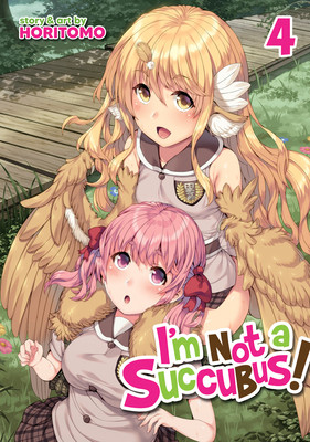 I'm Not a Succubus! Vol. 4 (Horitomo)(Paperback)