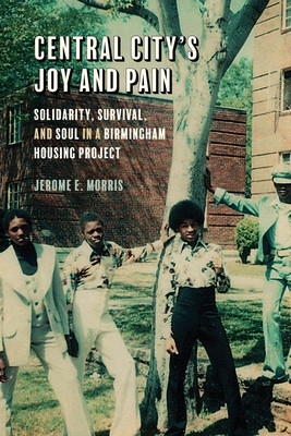 Central City's Joy and Pain: Solidarity, Survival, and Soul in a Birmingham Housing Project (Morris Jerome E.)(Paperback)