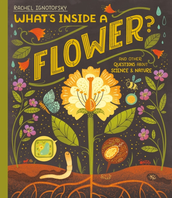 What's Inside a Flower? - And other questions about science and nature (Ignotofsky Rachel)(Pevná vazba)