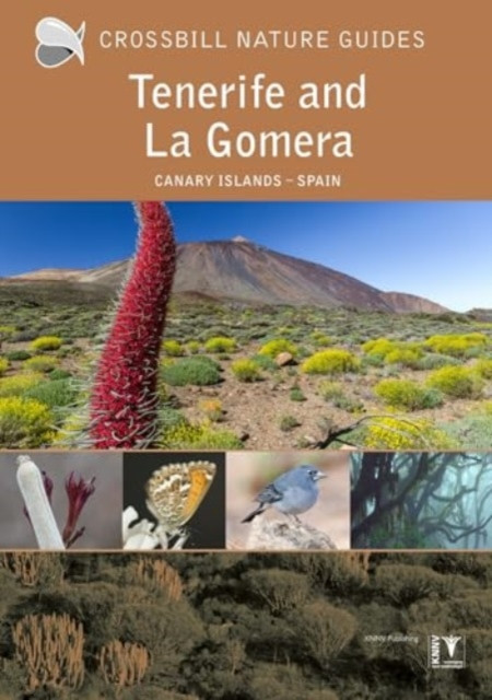 Tenerife and La Gomera - Canary Islands  Spain (Hilbers Dirk)(Paperback / softback)