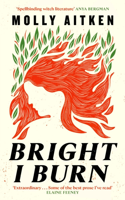 Bright I Burn (Aitken Molly)(Pevná vazba)