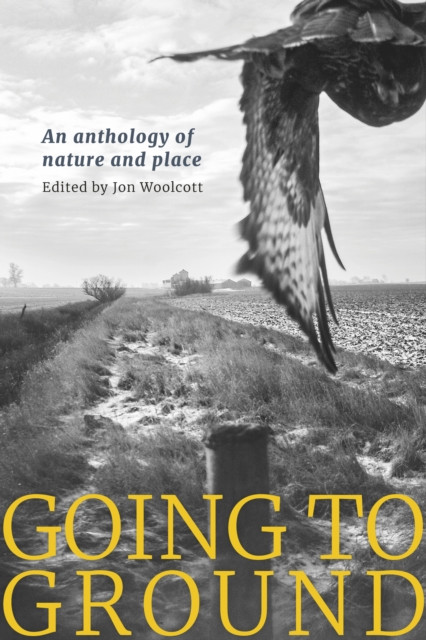 Going to Ground - An anthology of nature and place(Paperback / softback)