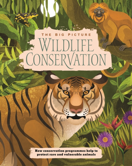 Wildlife Conservation (Coutts Lyn)(Paperback / softback)