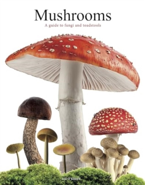 Mushrooms - A guide to fungi and toadstools (O'Keefe Liz)(Paperback / softback)