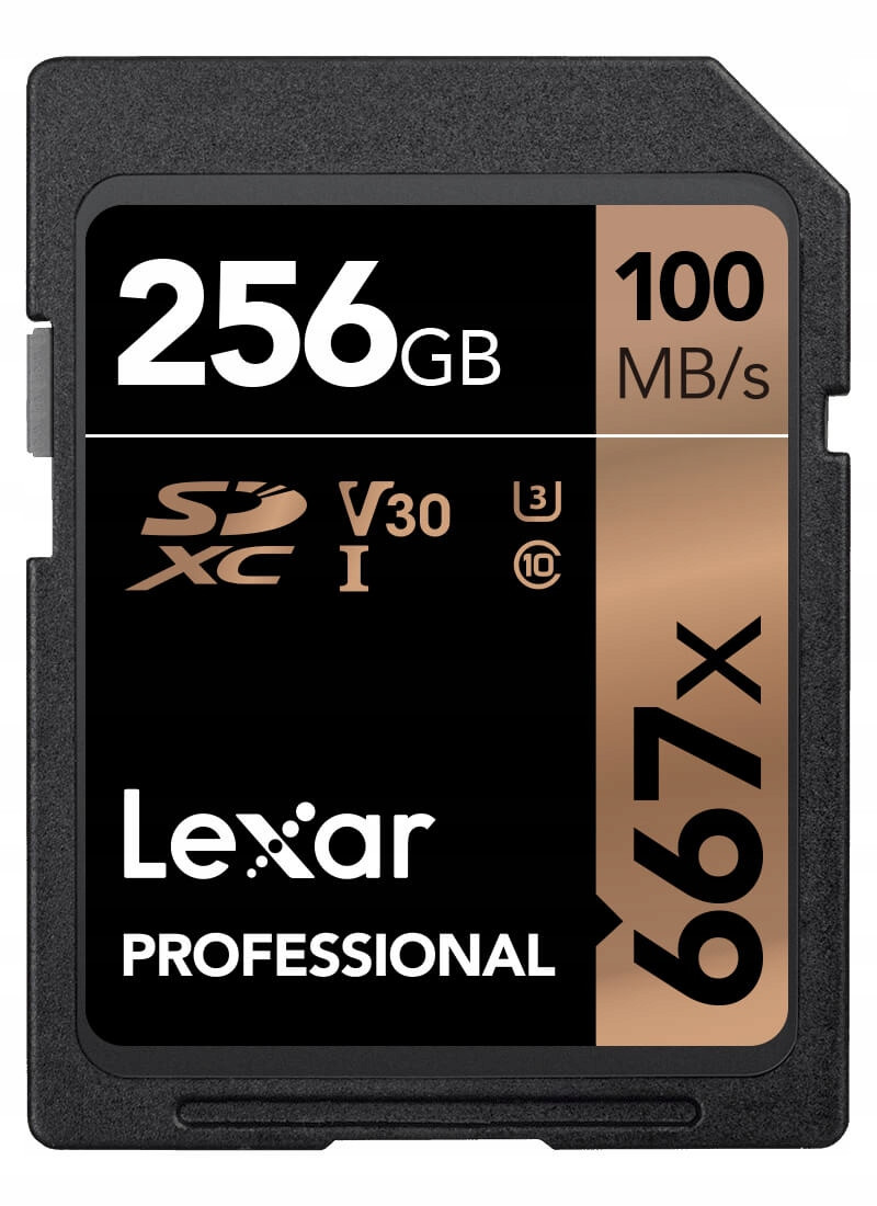 Sd karta Lexar 256GB