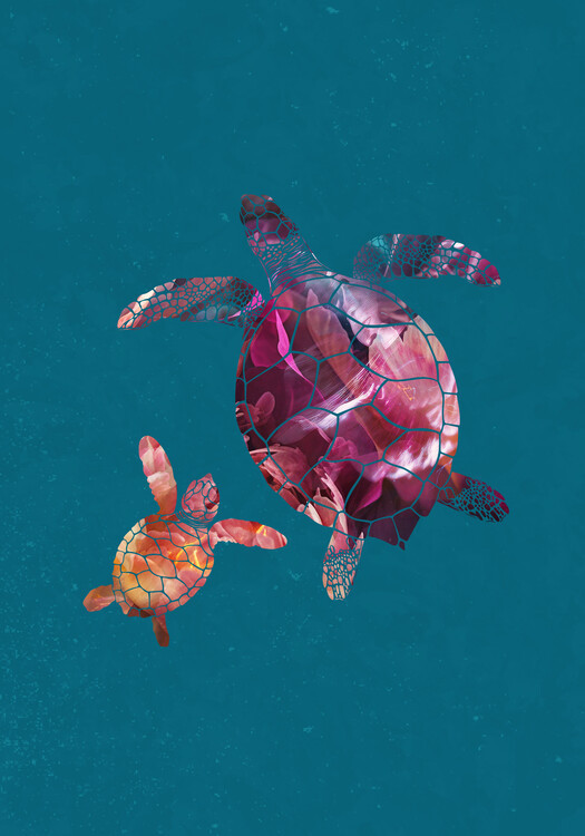 Sarah Manovski Ilustrace Colourful Turtles, Sarah Manovski, 26.7x40 cm