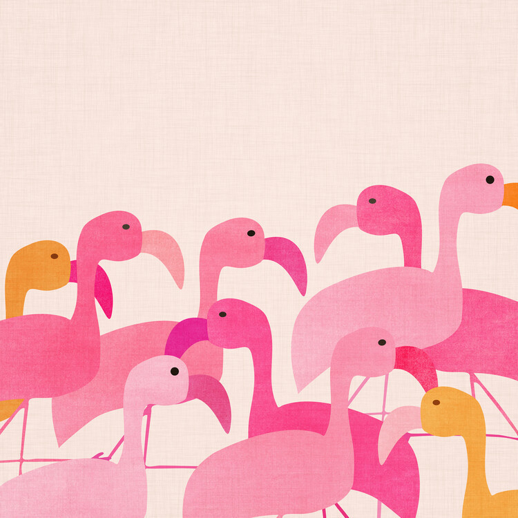 Kristian Gallagher Ilustrace Flamingos, Kristian Gallagher, 40x40 cm