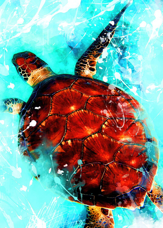Justyna Jaszke Ilustrace Tortoise animal art, Justyna Jaszke, 30x40 cm