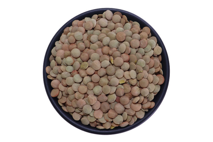 Profikoření - Čočka hnědá velkozrnná celá (25 Kg)