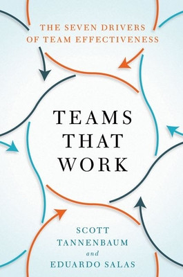 Teams That Work: The Seven Drivers of Team Effectiveness (Tannenbaum Scott)(Paperback)