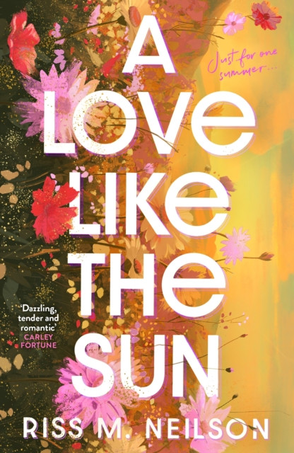 Love Like the Sun - The tender and unforgettable romantic debut for 2024 (Neilson Riss M)(Paperback / softback)