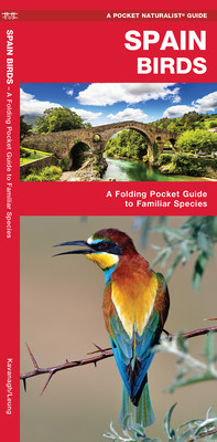 Spain Birds - A Folding Pocket Guide to Familiar Species (Kavanagh James Waterford Press)(Pamphlet)