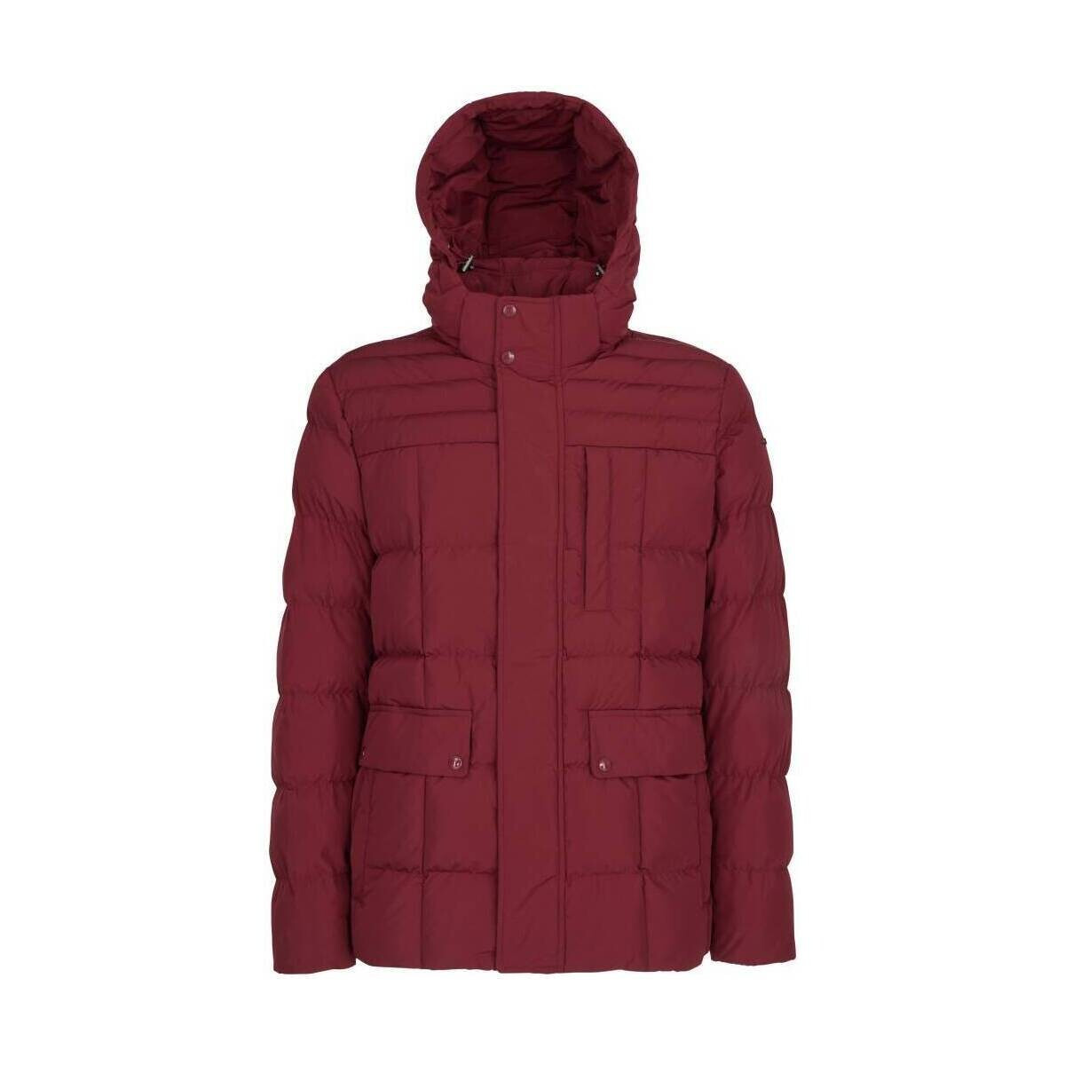 Geox  M HILSTONE  Bordó