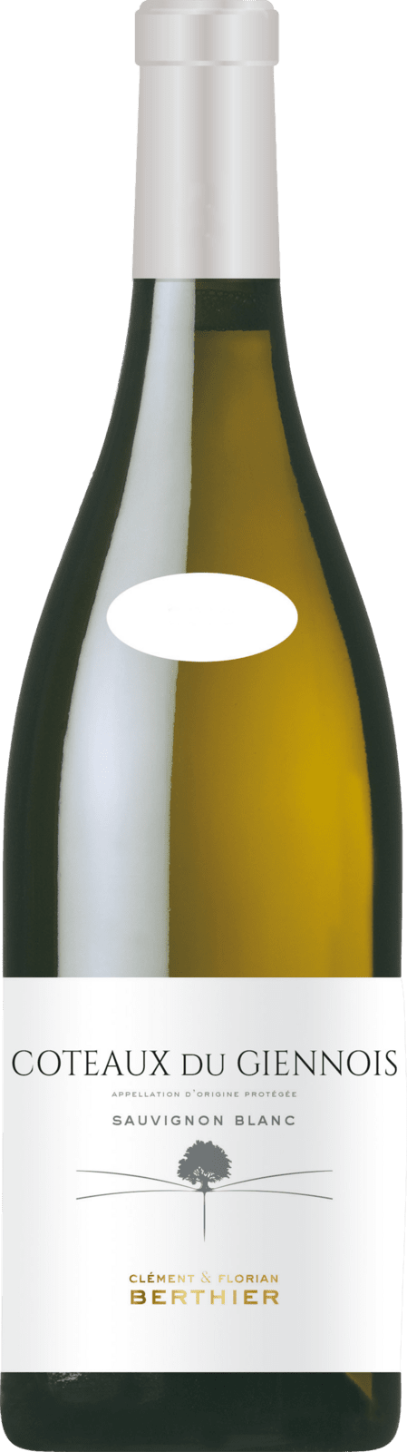 Clement & Florian Berthier Coteaux du Giennois Blanc 2023