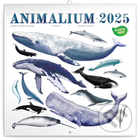 NOTIQUE Poznámkový kalendár Animalium 2025, 30 x 30 cm - Notique