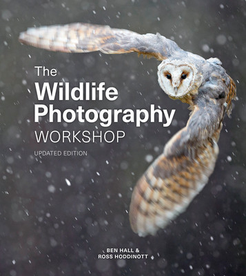 The Wildlife Photography Workshop (Hoddinott Ross)(Paperback)