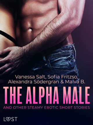 The Alpha Male and Other Steamy Erotic Short Stories - e-kniha