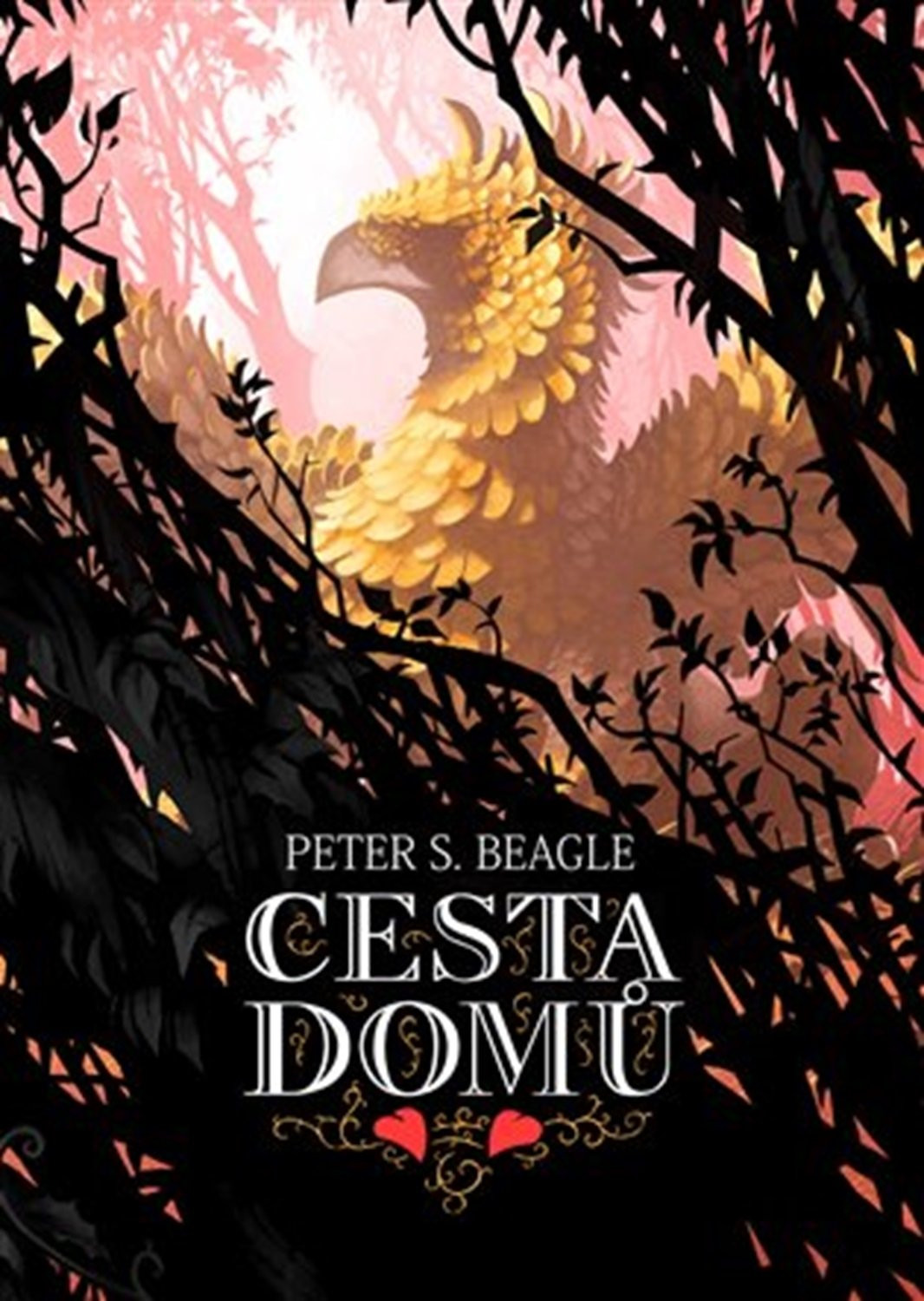 Cesta domů - Beagle, Peter S.