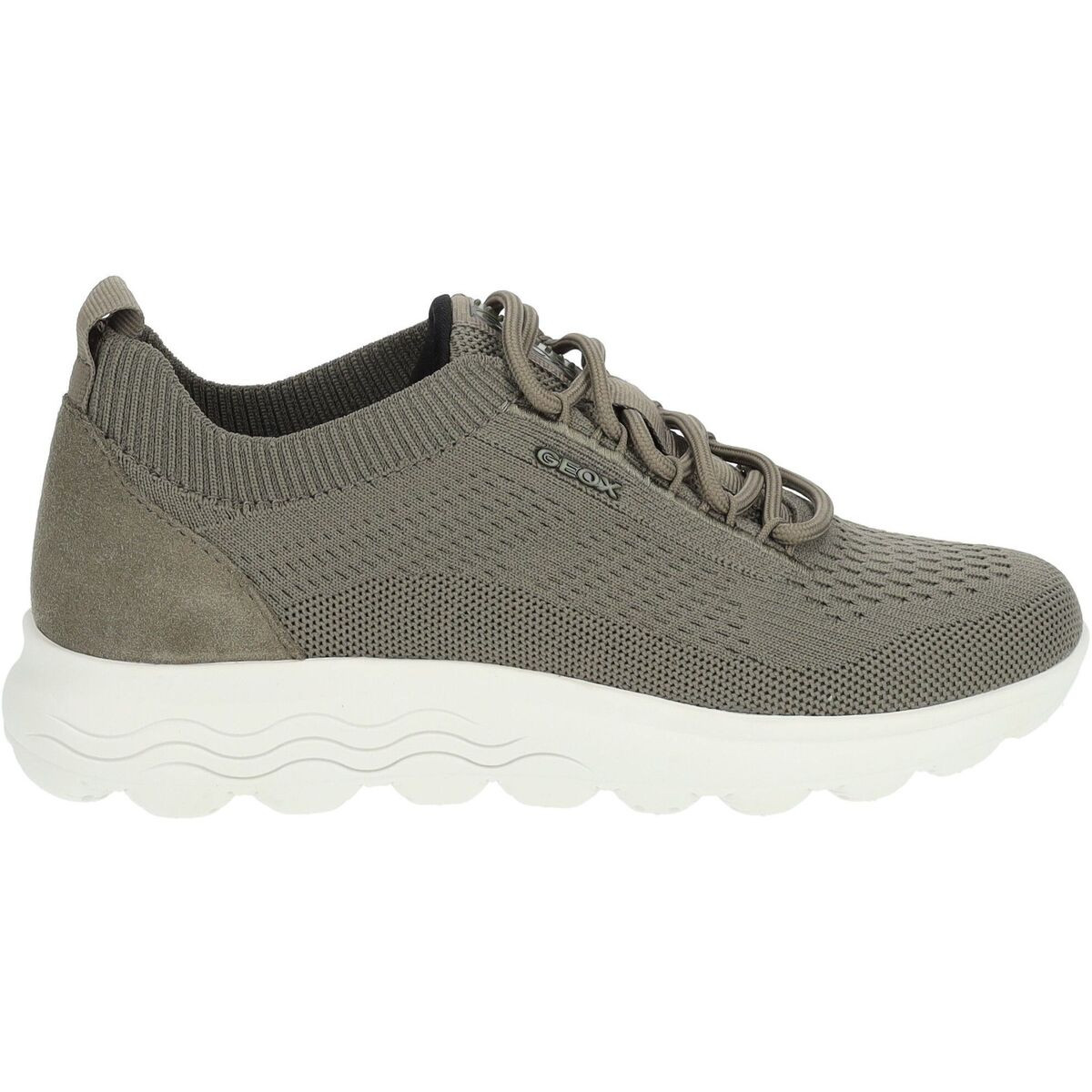 Geox  Sneaker  Zelená