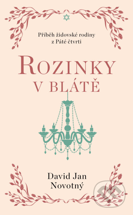Rozinky v blátě - Jan David Novotný