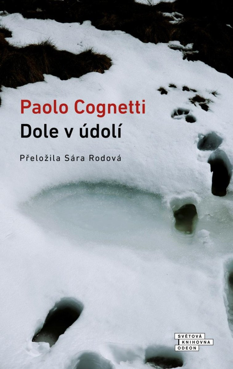 Dole v údolí - Paolo Cognetti