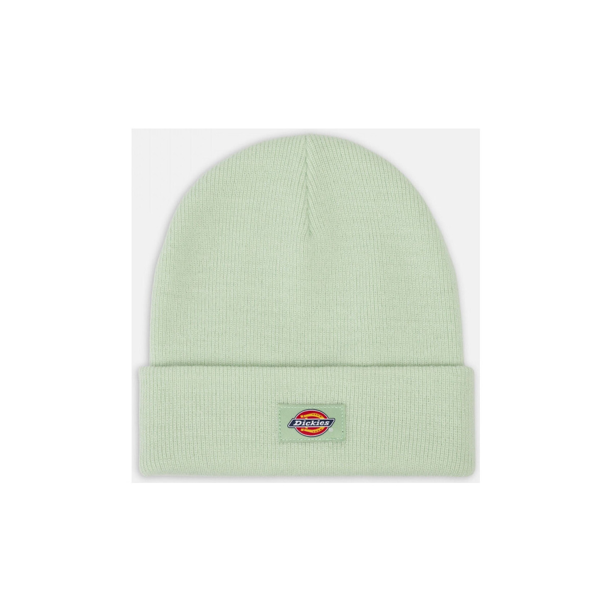 Dickies  Gibsland beanie  Zelená