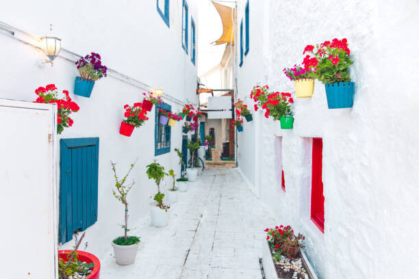 yagmradam Fotografie View of white street and flowers, yagmradam, 40x26.7 cm