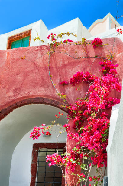 Olga_Gavrilova Fotografie Traditional greek architecture. Santorini island, Greece., Olga_Gavrilova, 26.7x40 cm