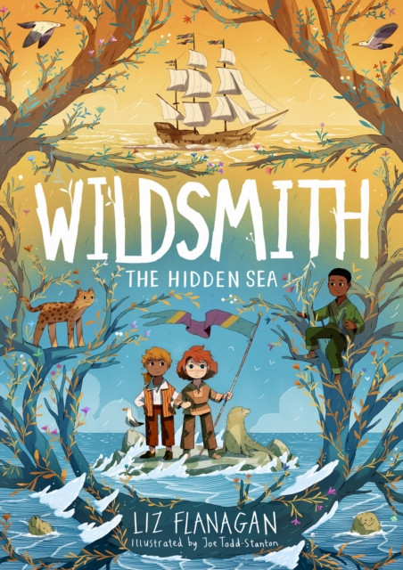 Wildsmith: The Hidden Sea (The Wildsmith Book #3)(Paperback / softback)