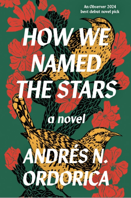How We Named the Stars (N. Ordorica Andres)(Paperback / softback)
