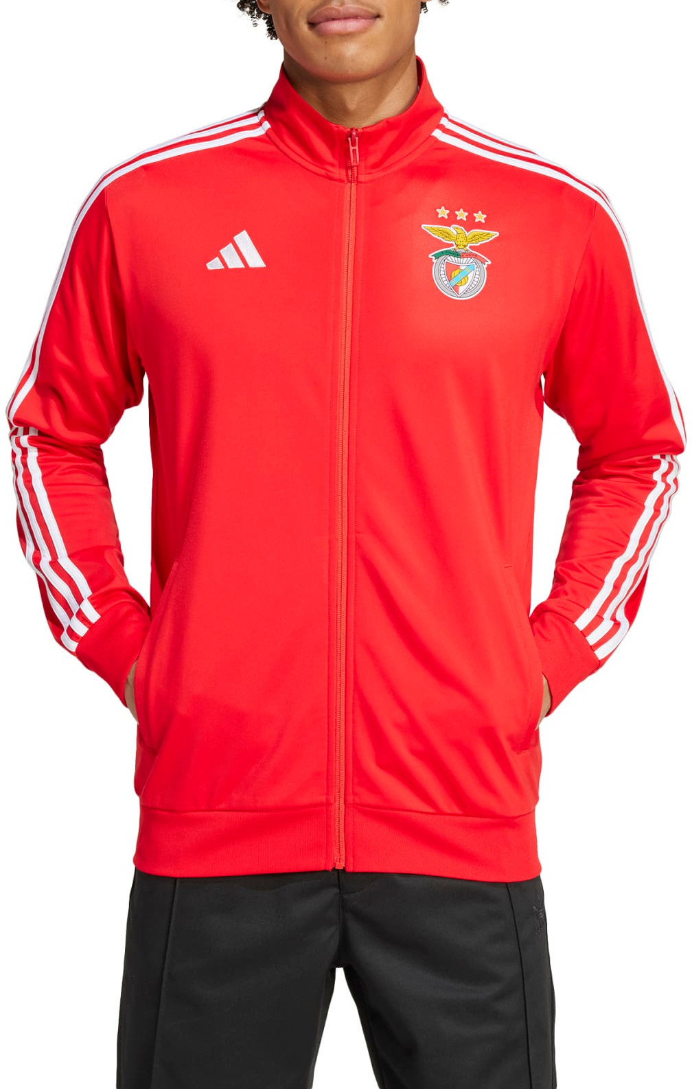 Bunda adidas SLB DNA TT