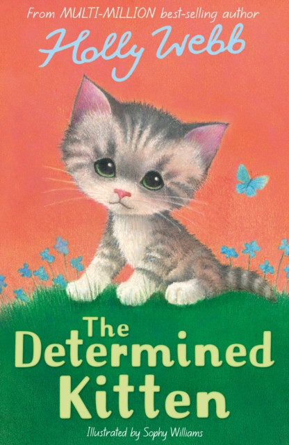 Determined Kitten (Webb Holly)(Paperback / softback)