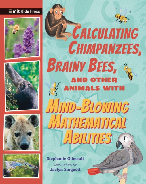 Calculating Chimpanzees, Brainy Bees, and Other Animals with Mind-Blowing Mathematical Abilities (Gibeault Stephanie)(Paperback / softback)