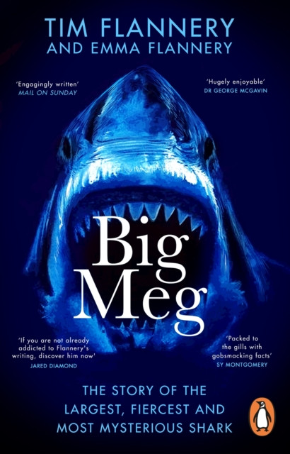 Big Meg - The Story of the Largest, Fiercest and Most Mysterious Shark (Flannery Tim)(Paperback / softback)