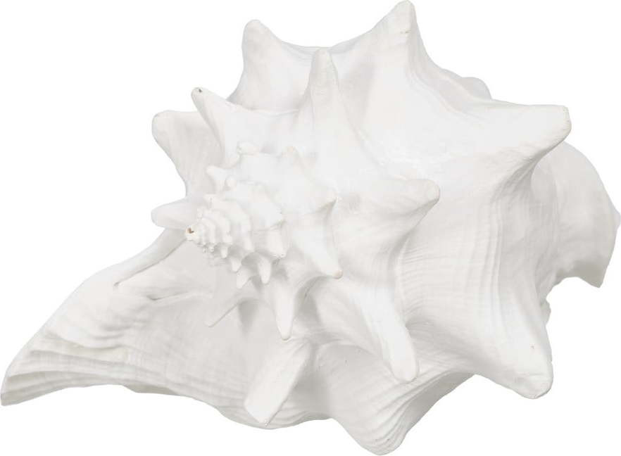 Soška z polyresinu (výška 13 cm) Seashell – Ixia