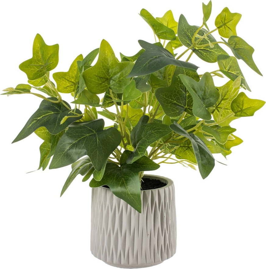 Umělá rostlina (výška 39 cm) Ivy – Ixia