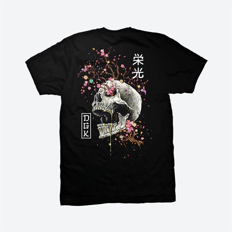 triko DGK - Ancestry Tee Black (BLACK)