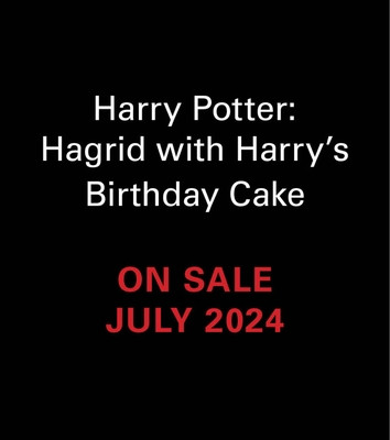 Harry Potter: Hagrid with Harrys Birthday Cake (Youre a Wizard, Harry) - With Sound! (Lemke Donald)(Multiple-component retail product)